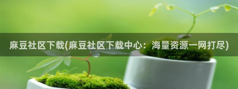 麻豆国产av专区：麻豆社区下载(麻豆社区下载中心：海量资源一网打尽)