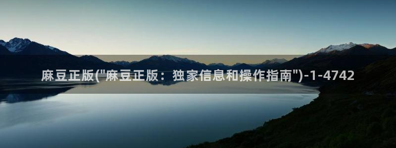 麻豆国产av专区：麻豆正版(\