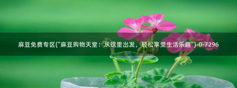 中文麻豆专区：麻豆免费专区(\