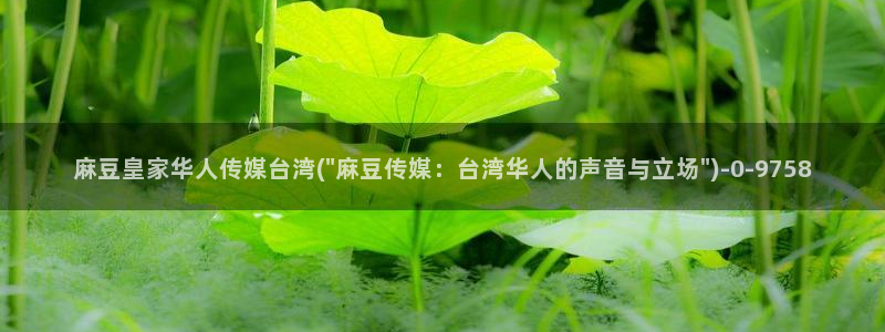 91麻豆国产专区在线观看：麻豆皇家华人传媒台湾(\