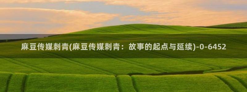 麻豆专区一区二区三区：麻豆传媒刺青(麻豆传媒刺青：故事的起点与延续)