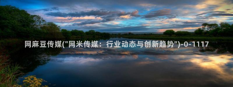 欧美专区麻豆：网麻豆传媒(\