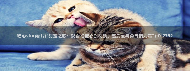 糖心vlog网页入口：糖心vlog看片(\