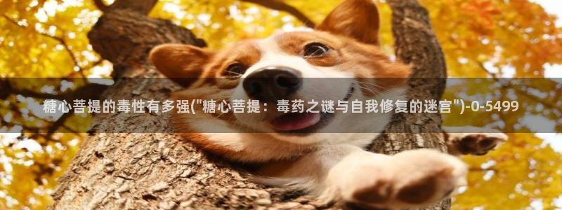 糖心vlog电影高清：糖心菩提的毒性有多强(\