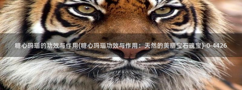 心糖vlog入口