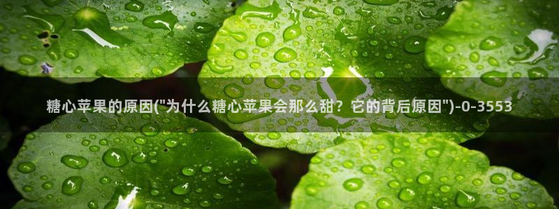 糖心日常vlog