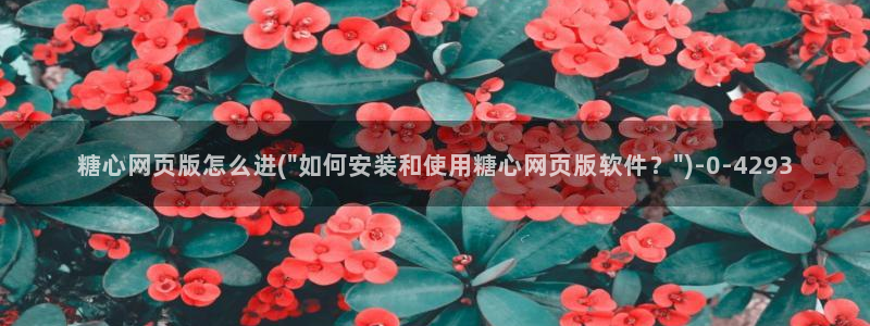 糖心vlog app