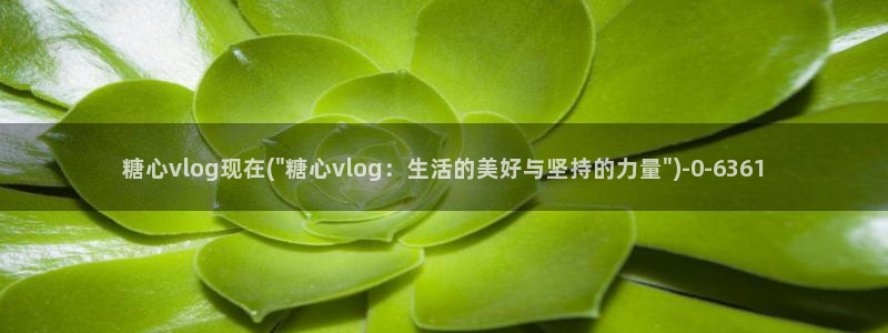 糖心vlog艺人