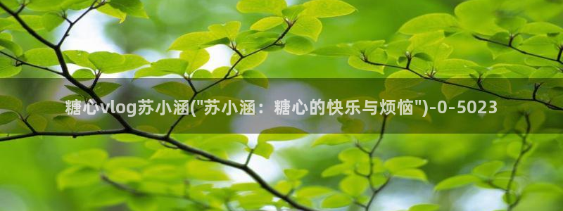 糖心vlog在线观看高清
