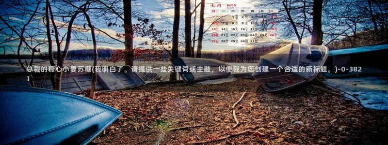 糖心vlog最新